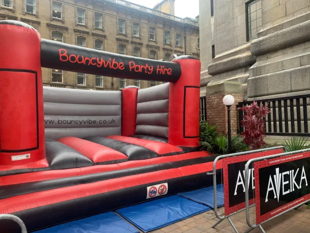 Adult Bouncy Vibe Castle