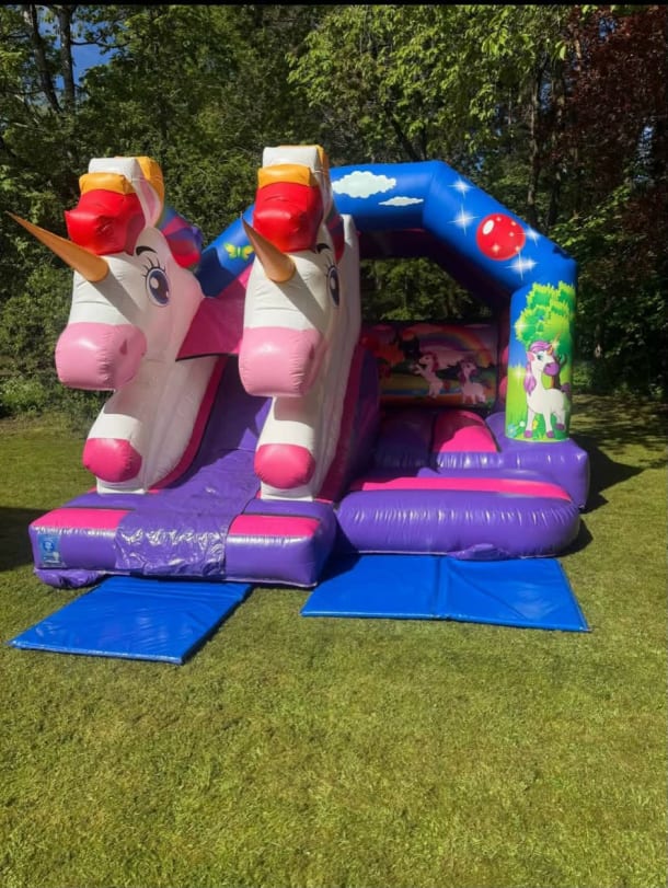 3d Unicorn Combi Slide