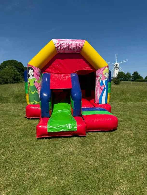 Princess Themed Multicoloured Bounce And Slide