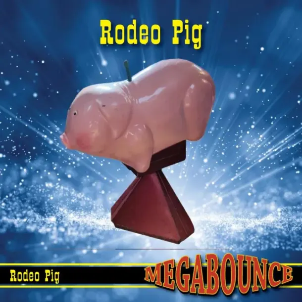 5pm - 11pm Time Slot Rodeo Bull Hire - Pig Skin