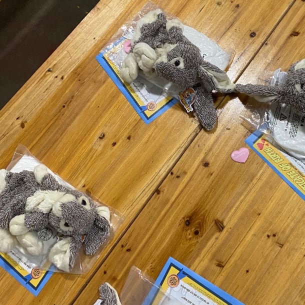 Make A Bear Hosted Party Up To 8 Children
