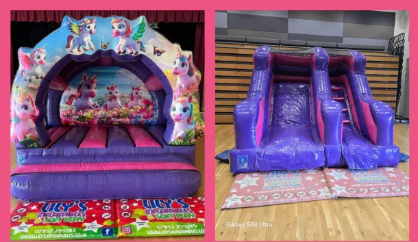 3d Unicorn Curved Slide Fun