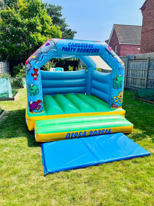 Toddler Bouncy Castle