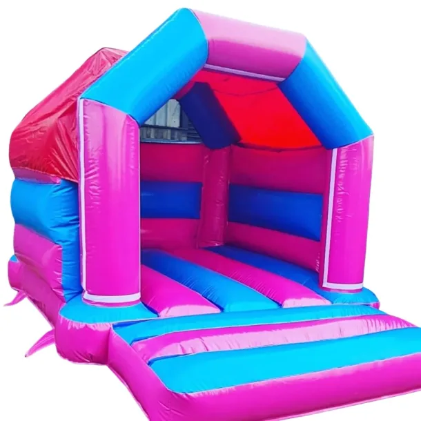 Pink And Blue Bouncy Castle
