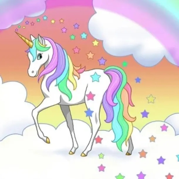 Unicorn Party Package