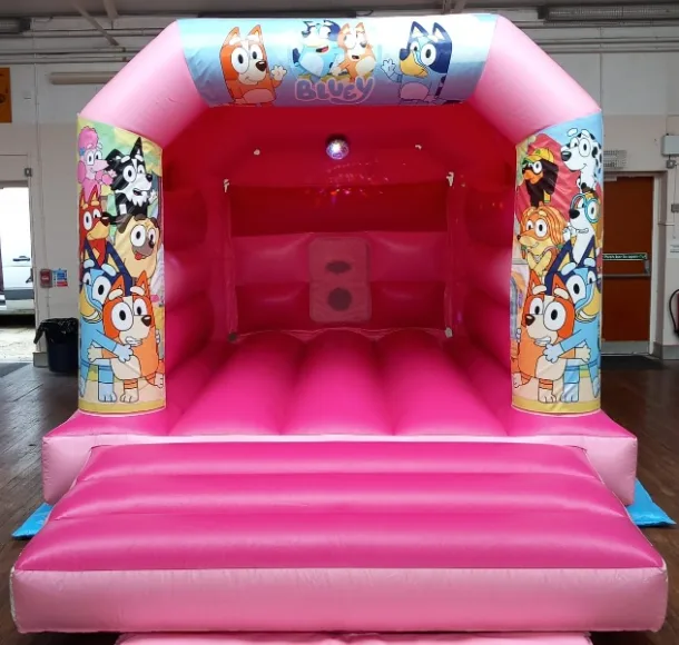 Bluey Disco Party