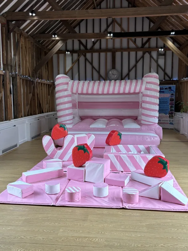 Berry Theme Birthday  Bouncy Castle And Soft Play Package