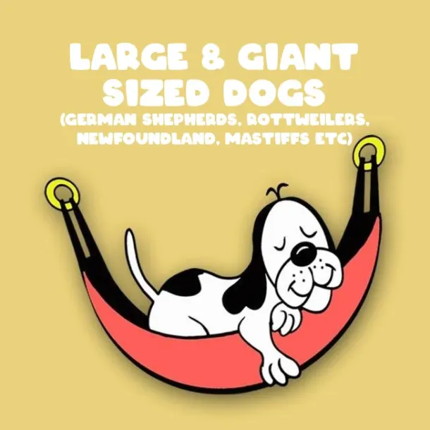 Large And Giant Sized Dogs