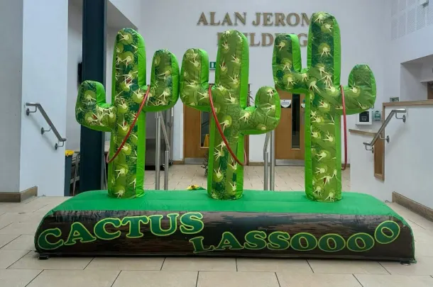 Hula Hoop Lasso Game