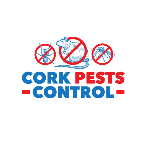 Flying Insects Pest Control