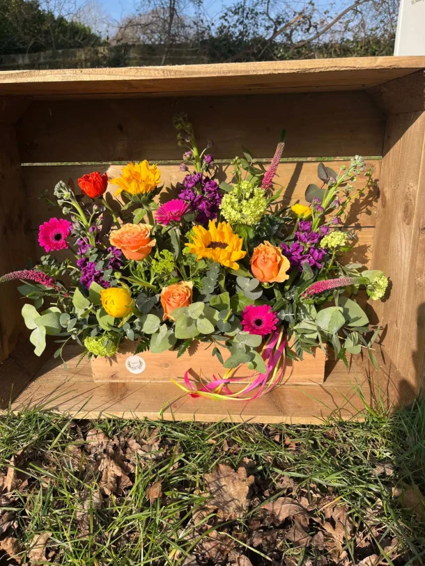 Vibrant Herb Box