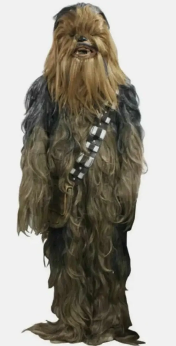 Wookiee Warrior