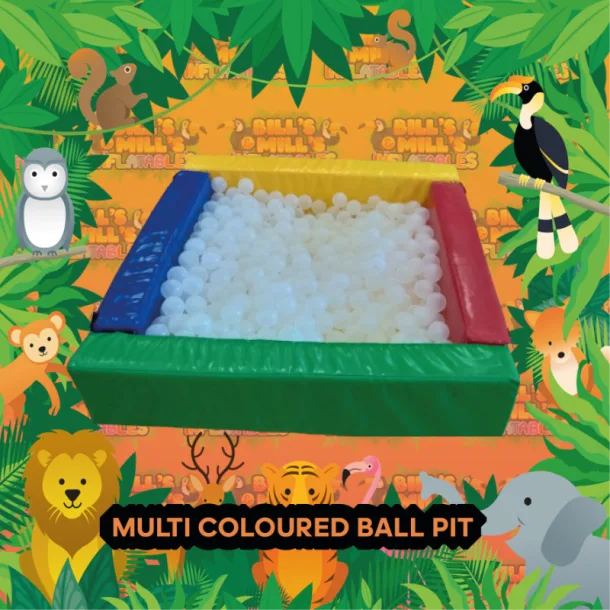 Multi Coloured Ball Pit