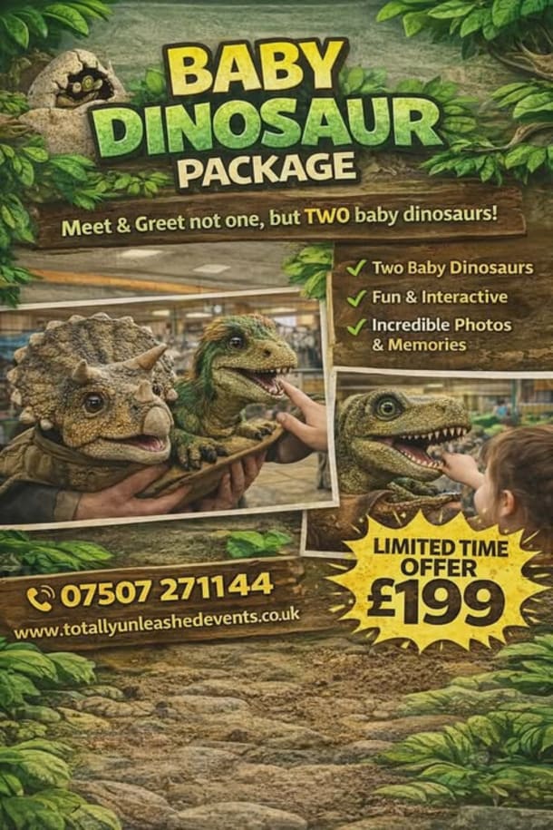 Baby Dinosaur Mini Party Package