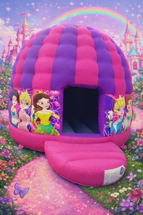 Princess Disco Dome