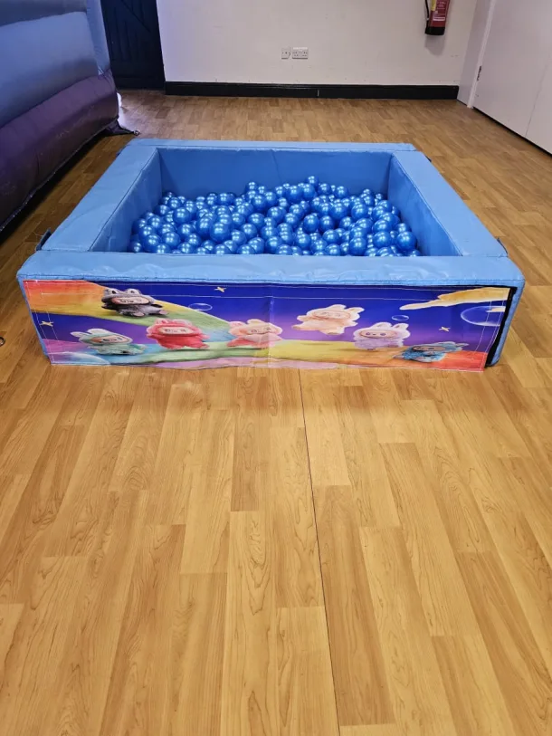 Labubu Ball Pit
