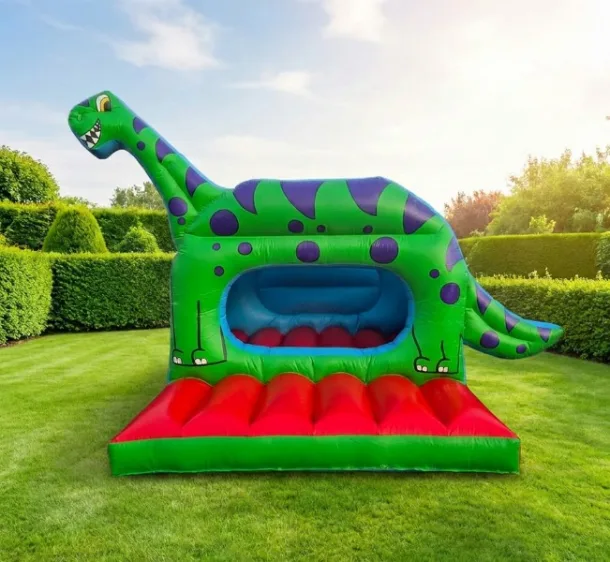 Kids Dinosaur Bouncy Castle