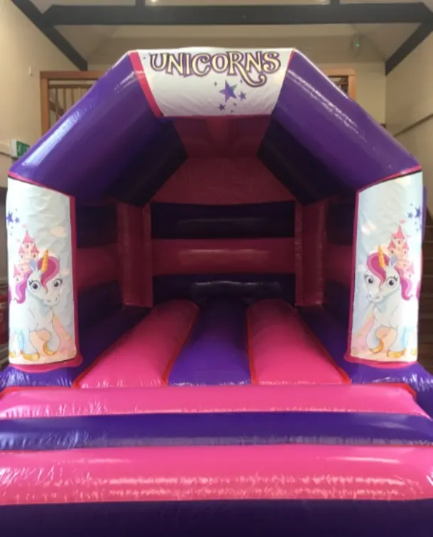 Pink And Purple Unicorn Castle