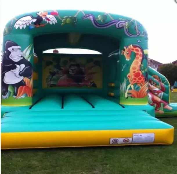 Jungle Bouncer With Slide