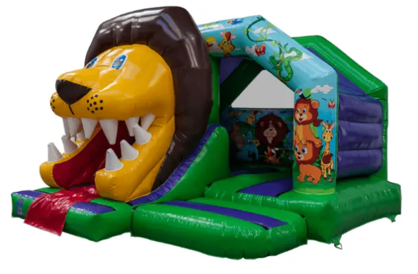 Lion Jungle Party Package