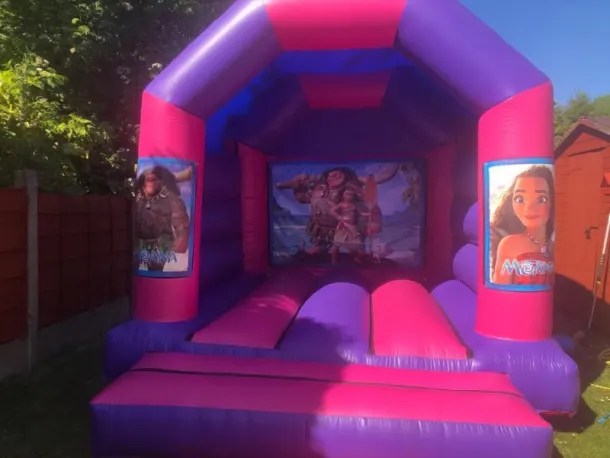 12ft X 12ft Pink And Purple - Moana Theme