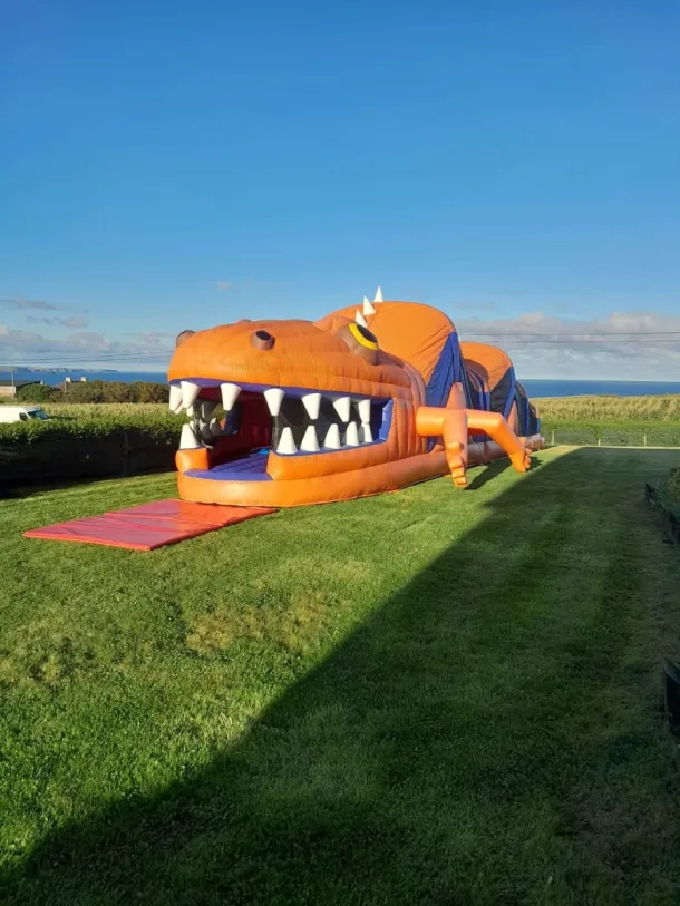 Lizard Obstacle Course 0b 08