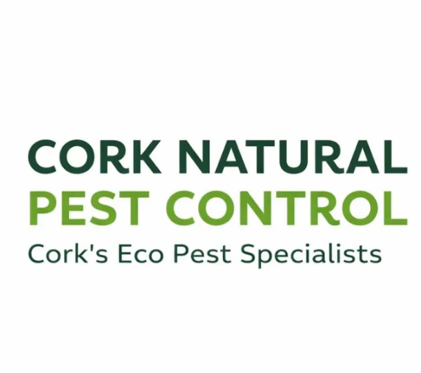Flying Insects Pest Control