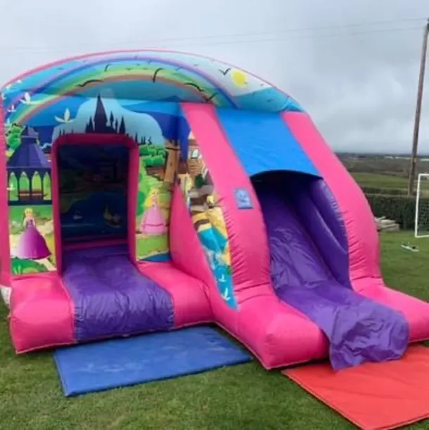 Pink Combi Bouncy Castle