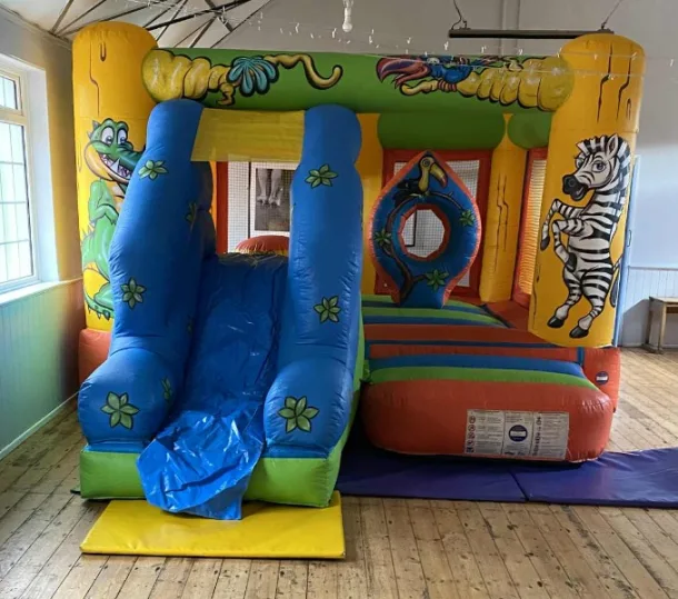 Jungle Bounce N Slide