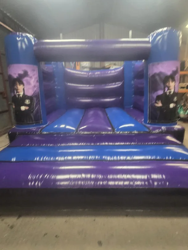 Wedding Blue And Purple H Frame Bouncy Castle