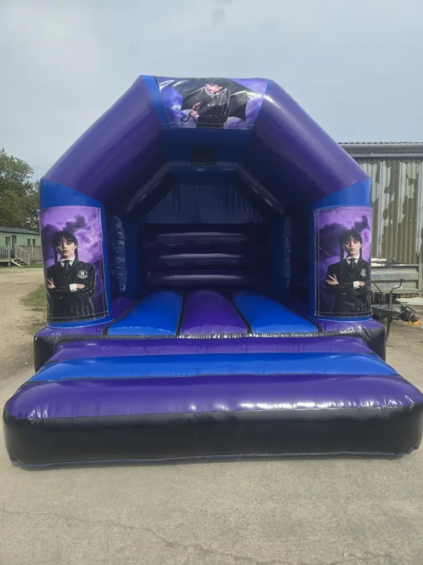 Wedding Blue And Purple A Frame Bouncy Castle