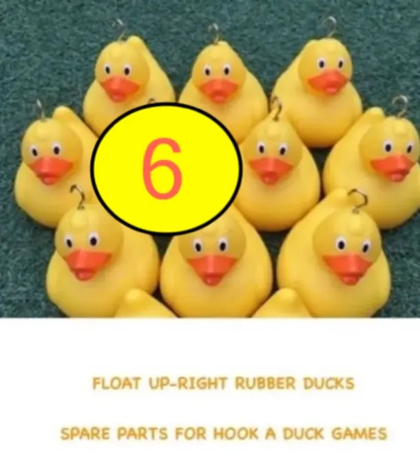 Ducks Pack 9