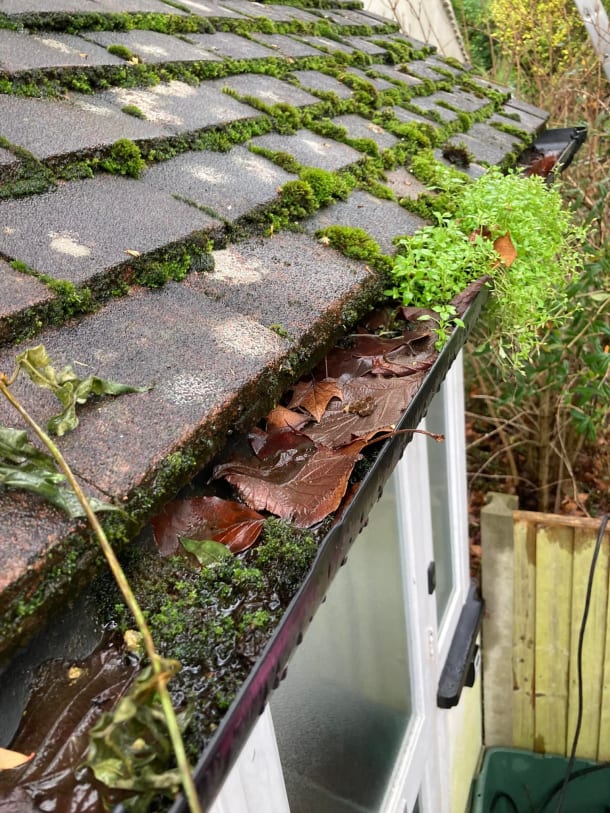 Gutter Repairs