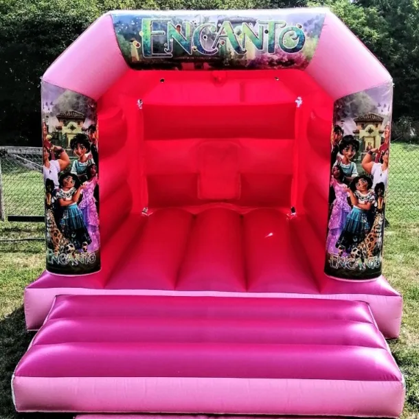 Encanto Pink Disco Party