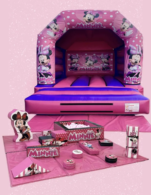 Minnie Mouse Package