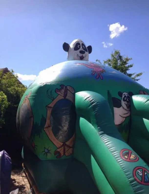 14.1ft X 9.8ft Panda Dome