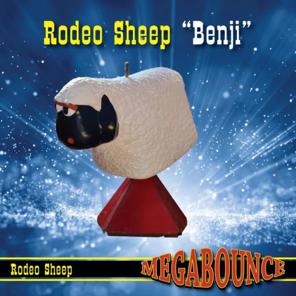 5pm - 11pm Time Slot Rodeo Bull Hire - Sheep Skin