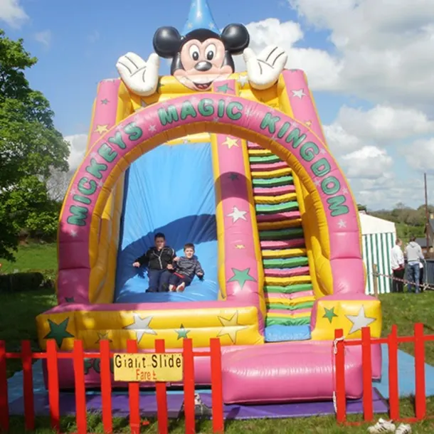 Giant Inflatable Slide