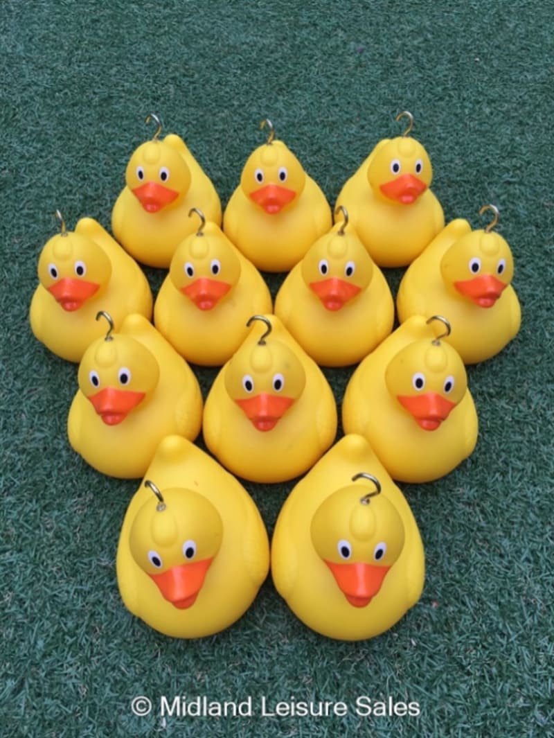 Hook That Duck A Crazy Game of Duck Hooking Fun for 2 Players with  Inflatable Pond : : Toys & Games