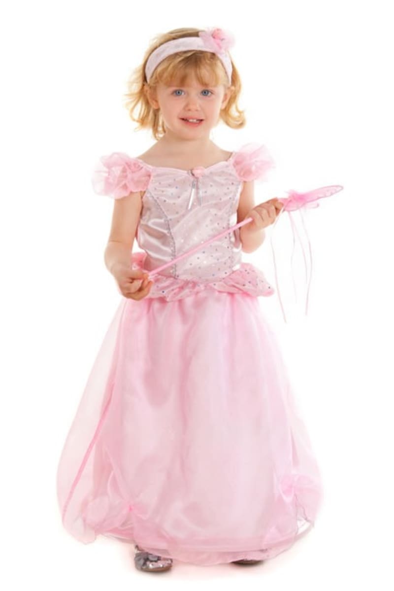 Fairy Princess Costume - Express Yourself Costume Hire | Southampton ...