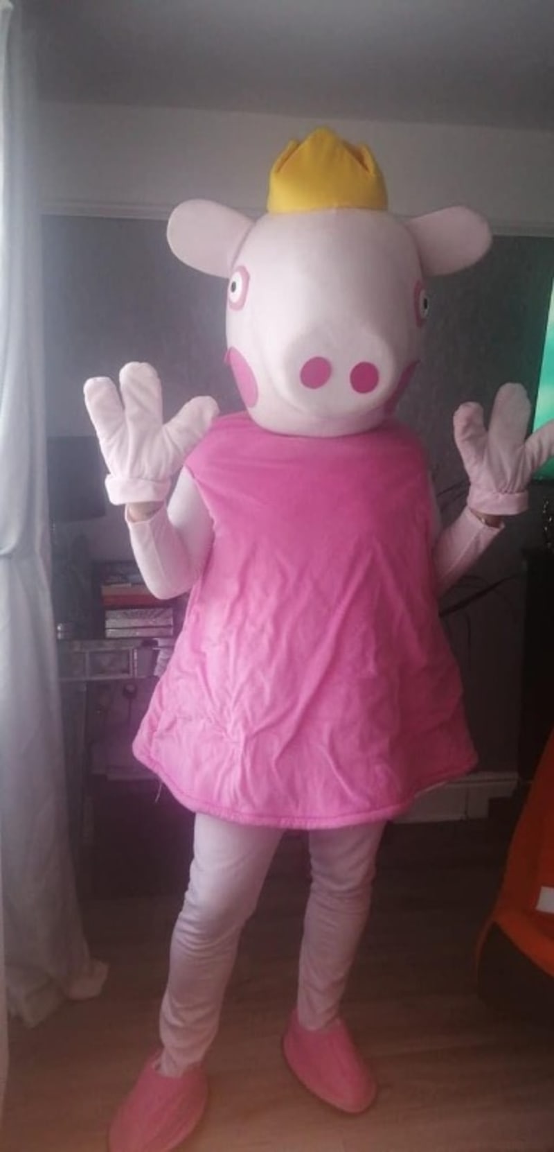 Mascot Hire Party Central Entertainments