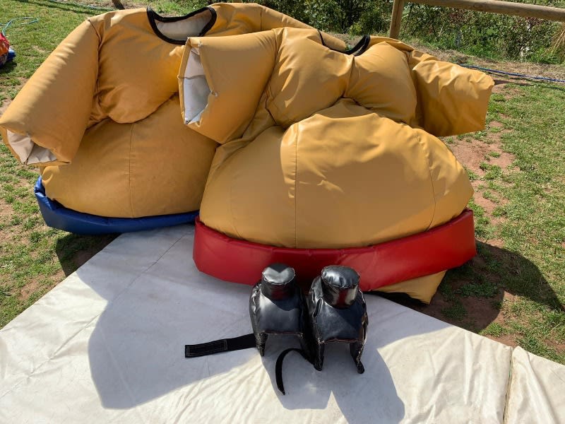 sumo wrestling simulator