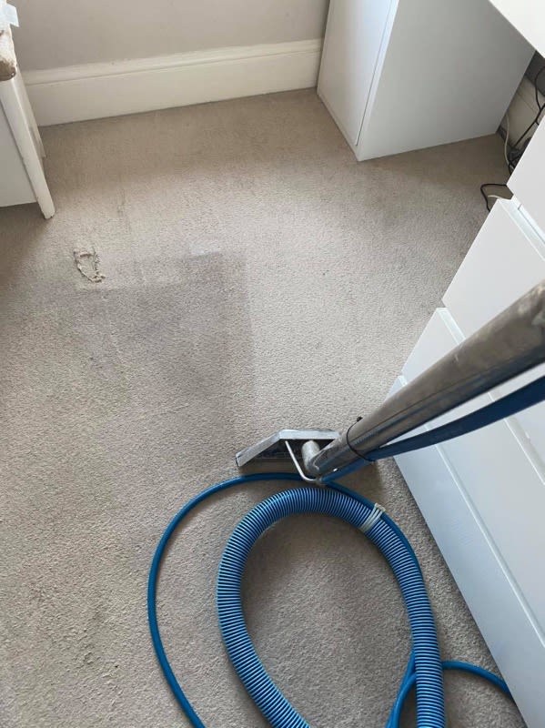 Gallery Extreme Kleen Carpet & Upholstery Cleaning Specialist East