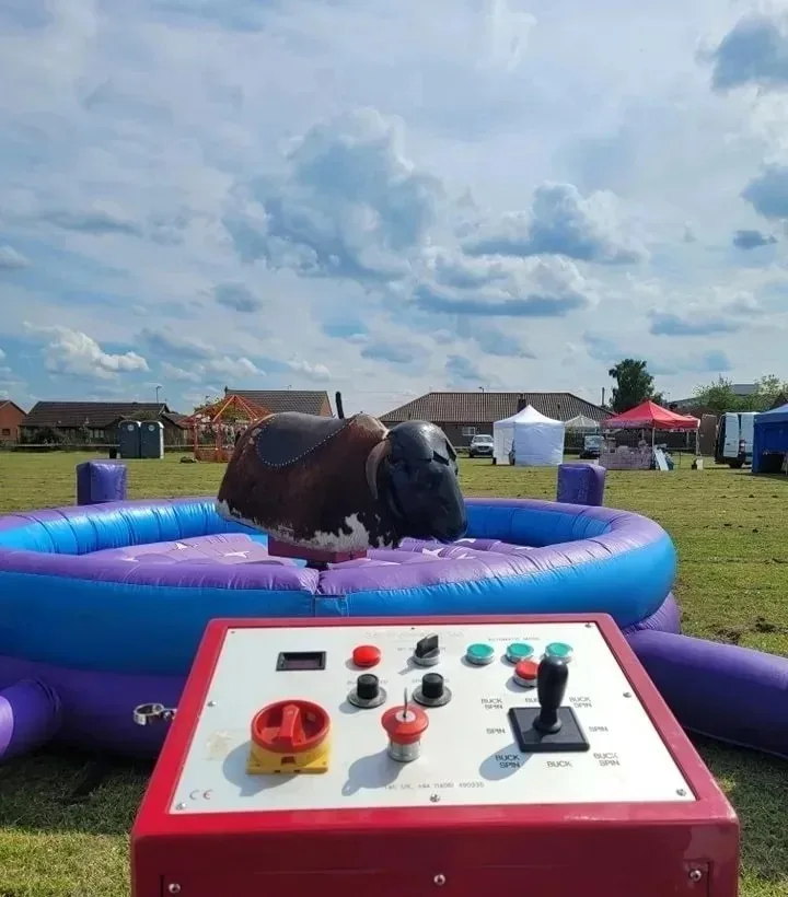 Rodeo Bull-hire-Hornsea Rodeo Bull