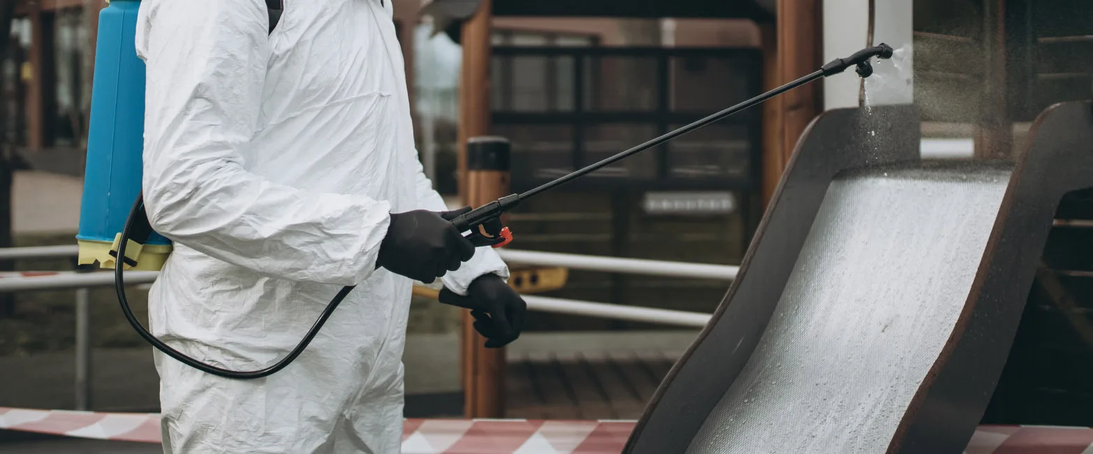 Cork Pest Control For Commercial And Domestic Properties