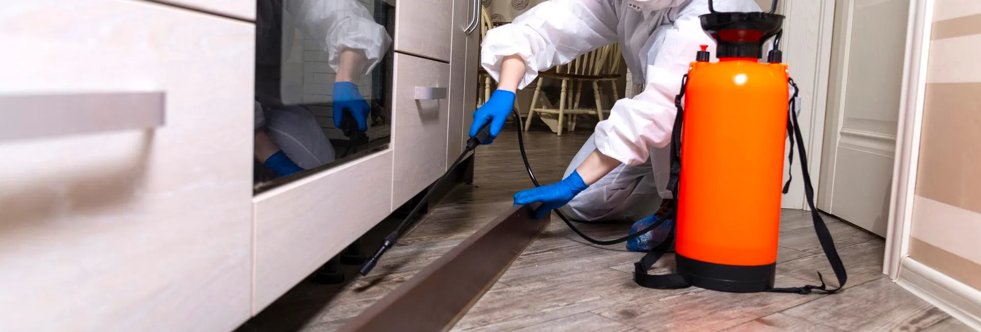 Cork Pest Control For Commercial And Domestic Properties