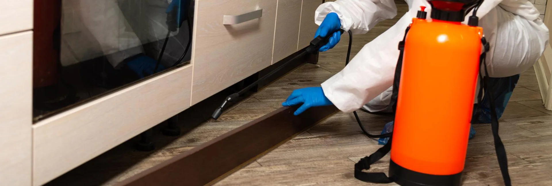 Cork Pest Control For Commercial And Domestic Properties