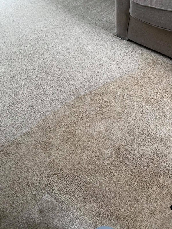 Gallery Extreme Kleen Carpet & Upholstery Cleaning Specialist East