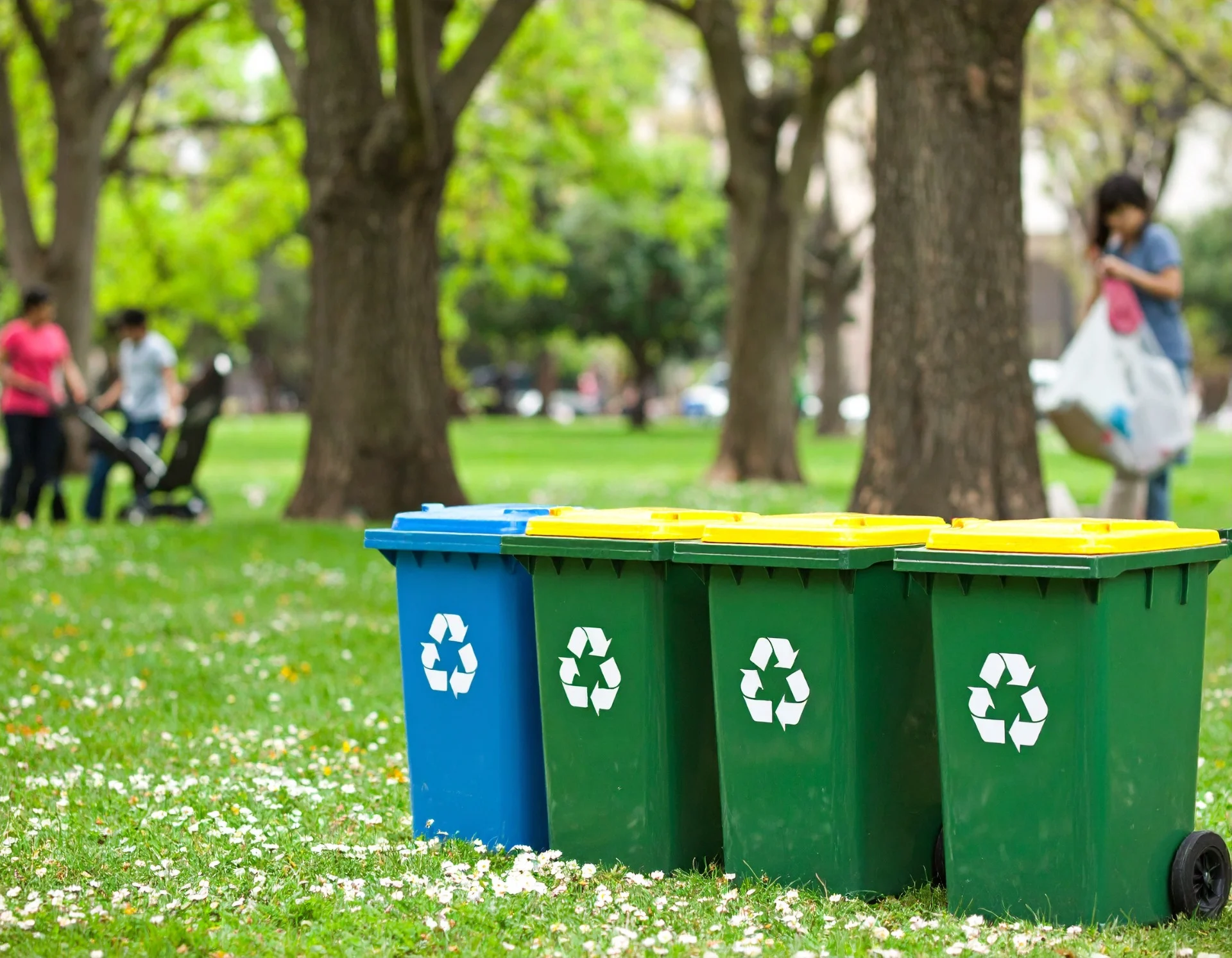 waste and rubbish clearance Brighton Brighton waste clearances