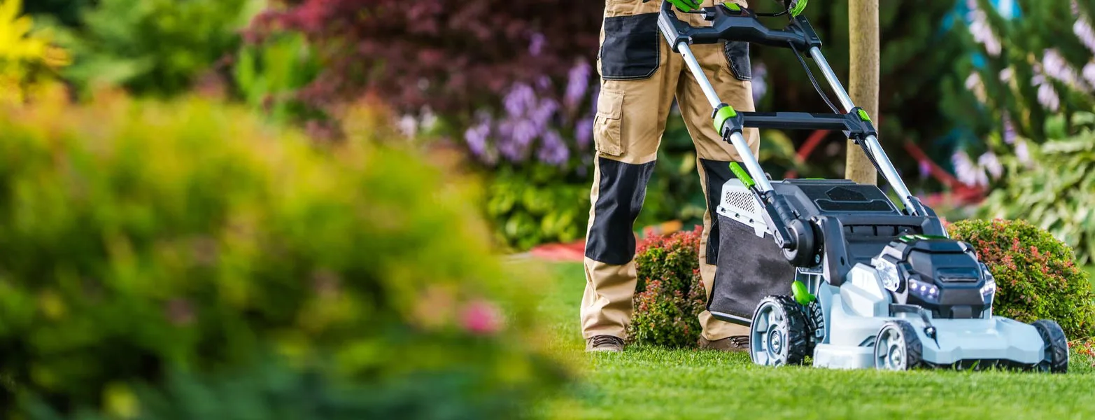 Cork Landscaping - Hedge Cutting & Trimming Cork